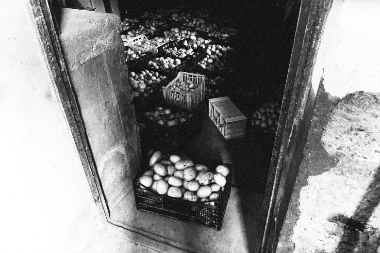 black and white pograph of fruit from below