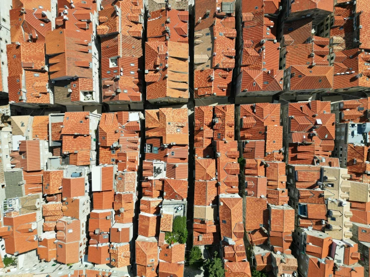 a view from above shows rows of clay colored roofs