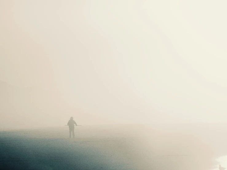 silhouette of people standing in misty waters by a bird