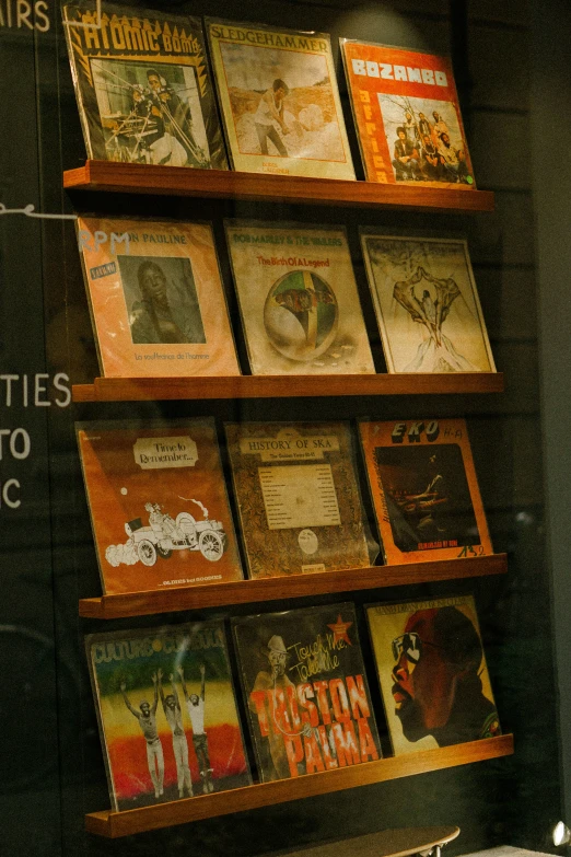 a shelf with several books in a store