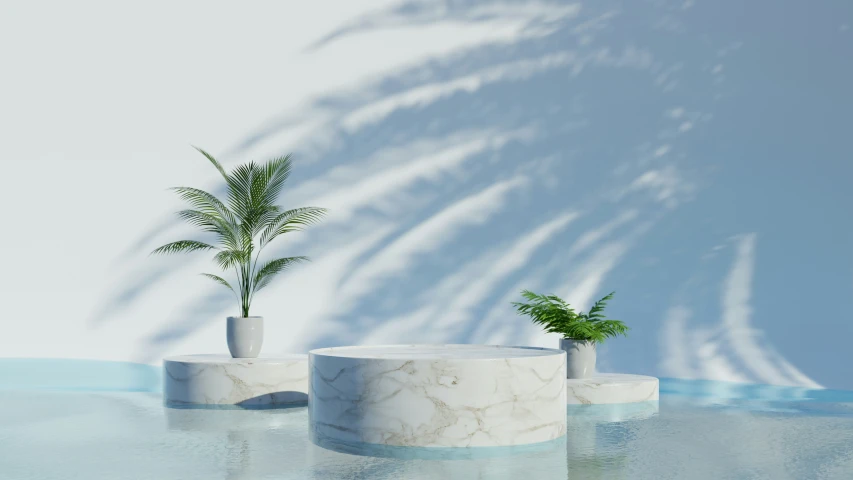 a tall tree next to two round planters on top of a table