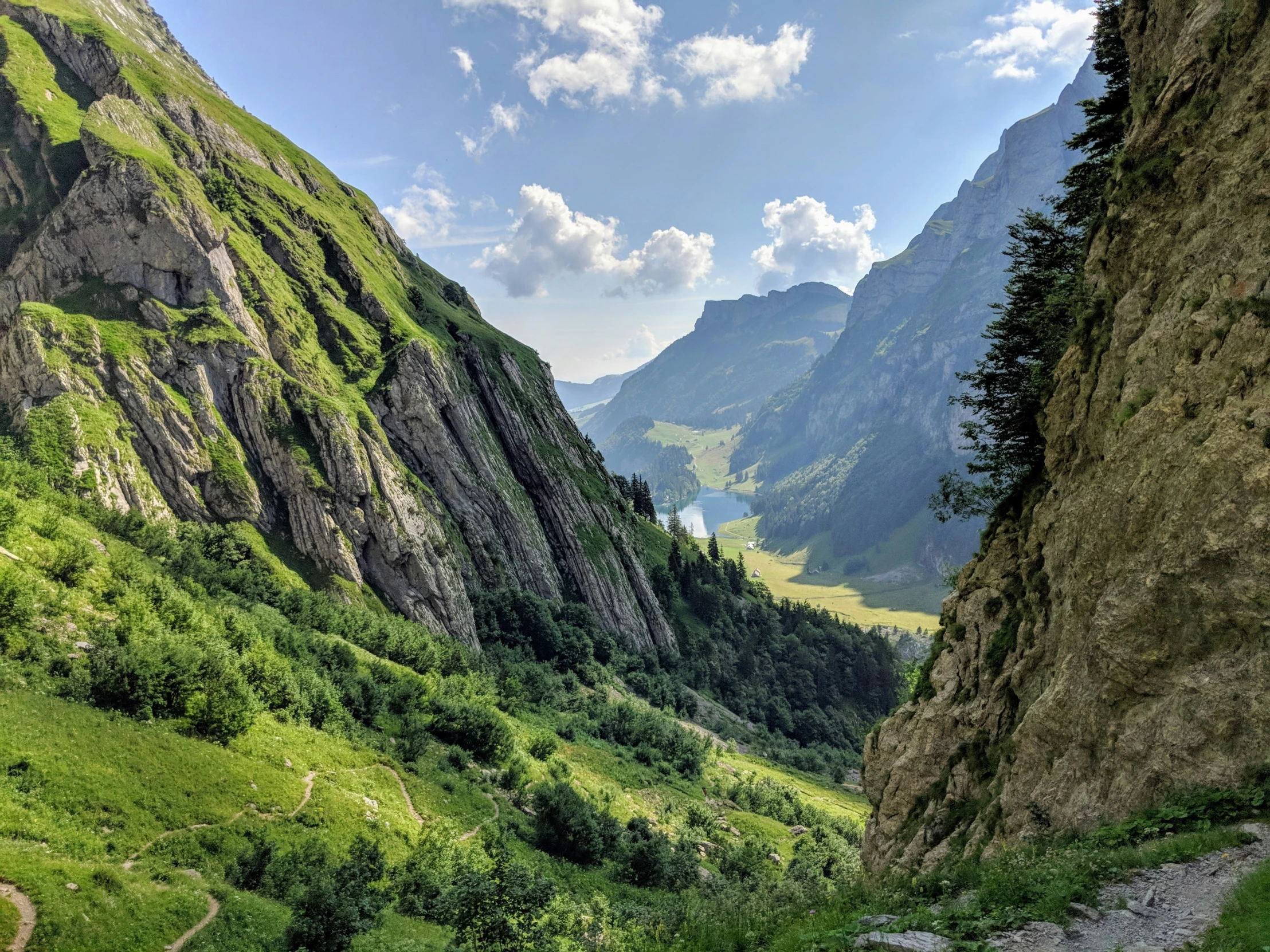 the valley below is very steep and lush