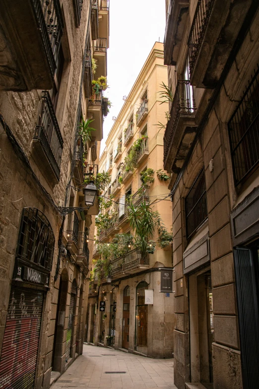 the view of an alleyway with many plants hanging from it's buildings