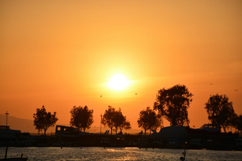 a view of the sun in the sky behind some trees