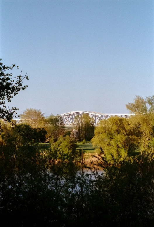 a bridge over a river next to trees