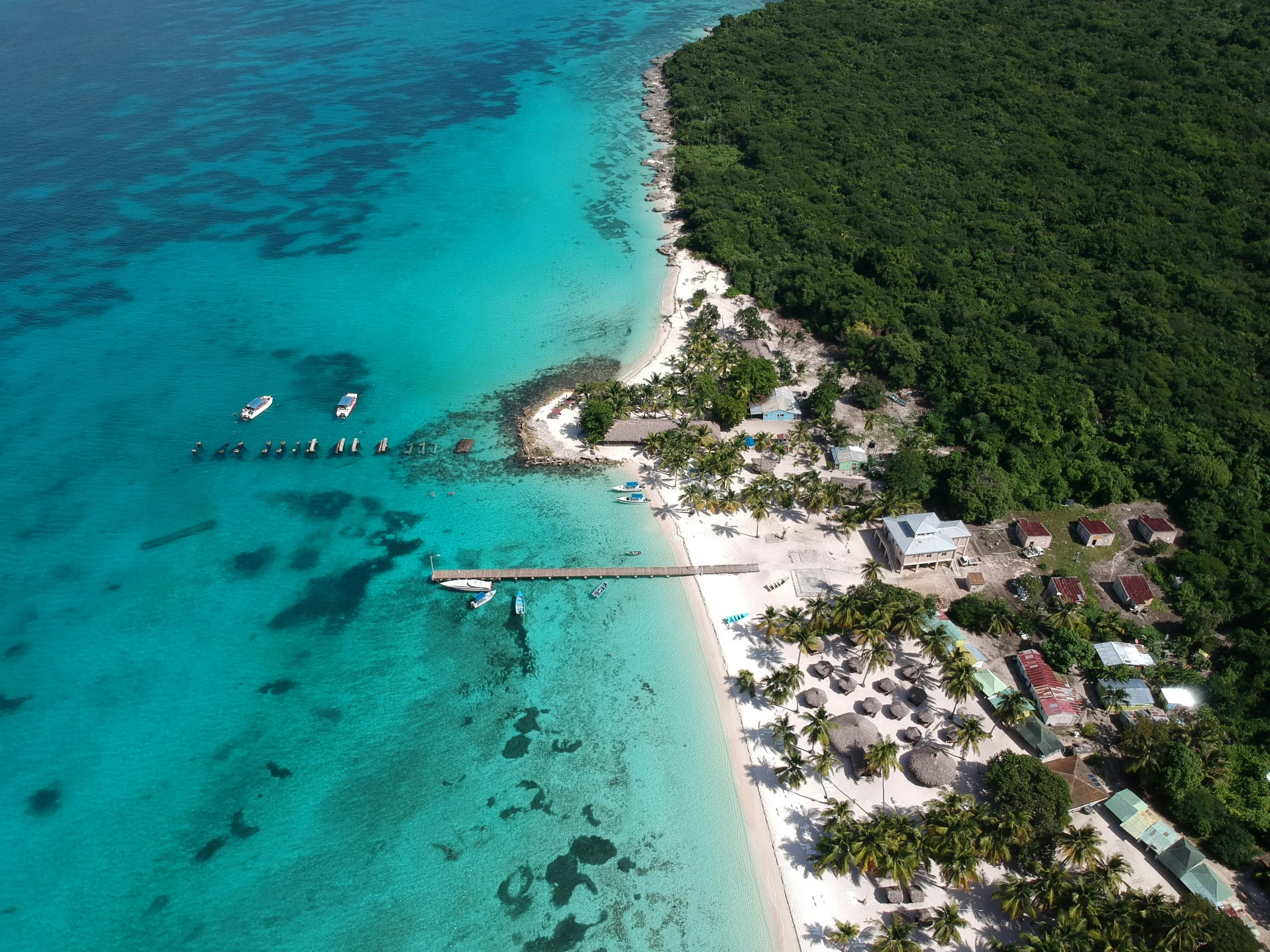 an aerial view of a beach surrounded by trees