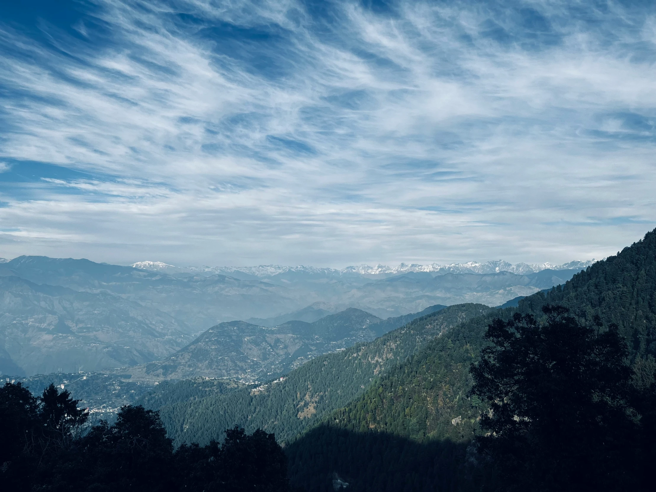 mountains with trees below under a blue sky