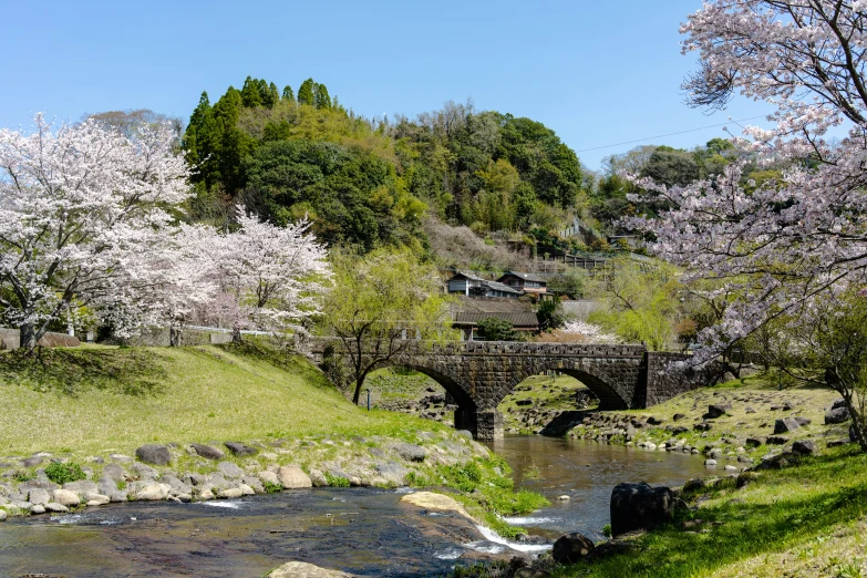 the bridge on the grass is by the river