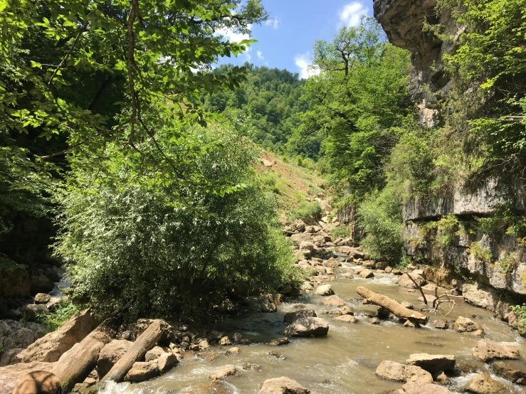 water running through a creek next to rocky bank