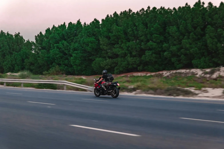 two people riding motorcycles along a road near a wooded area