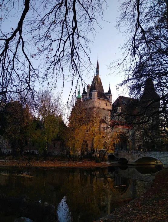 a castle on a river with trees around it