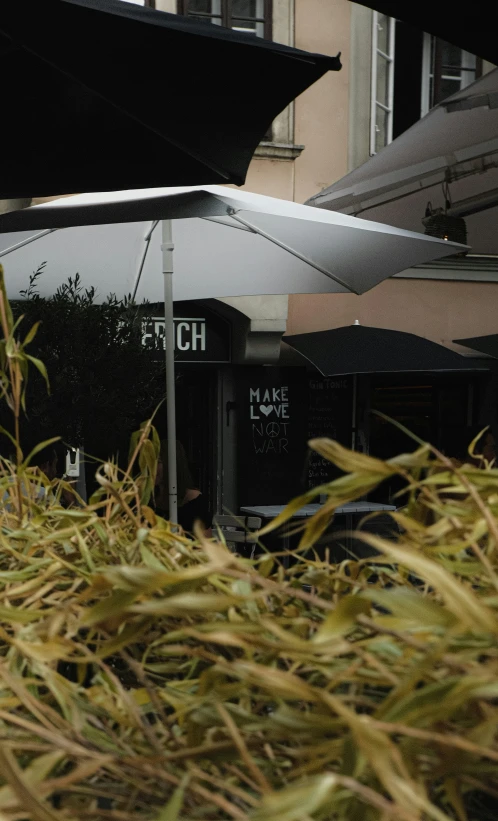 some grass and a building outside in the rain