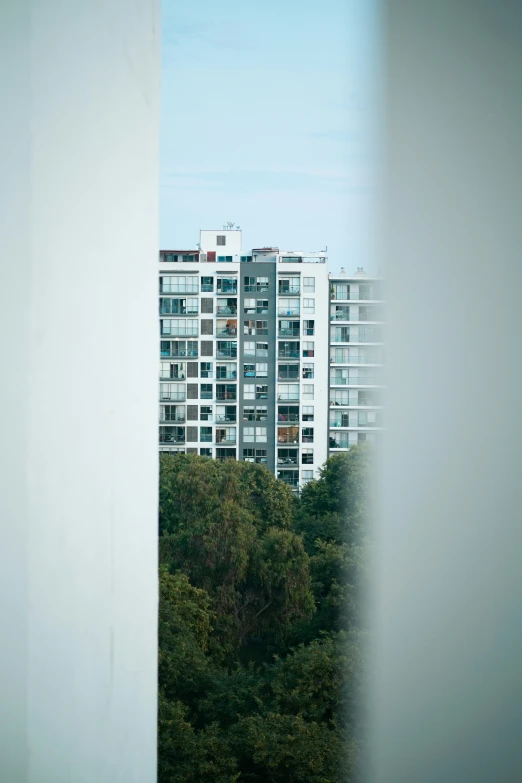 trees and buildings behind a thick window