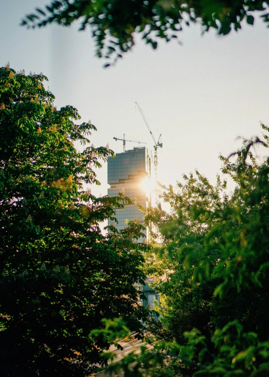 the sun is peeking through the trees outside of the window