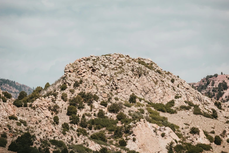 an image of a big mountain with grass