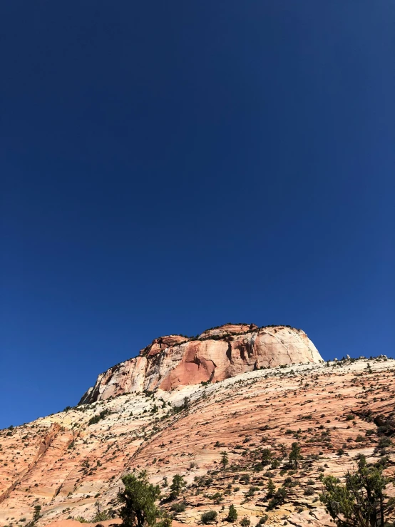 the view of a mountain from below with trees growing under it