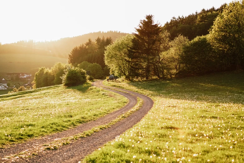 this is a road going up the side of a hill