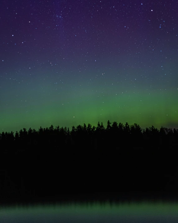 there is a dark green and blue sky above trees