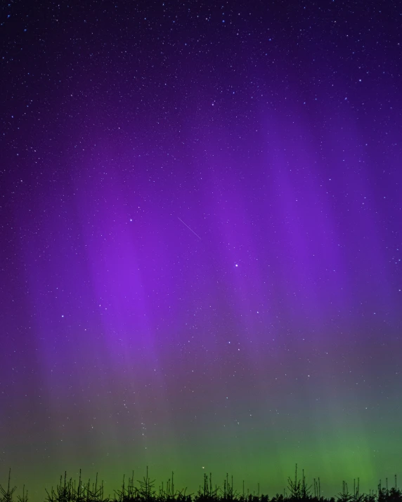 there is purple and green aurora seen from a forest