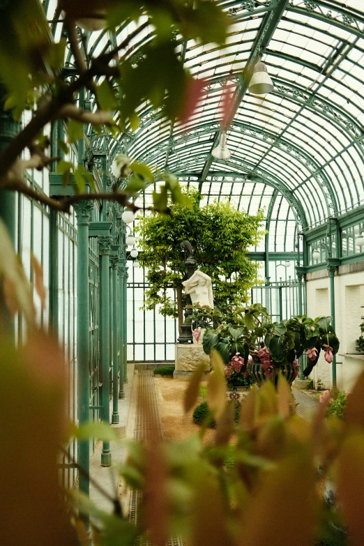 a garden in a large glass building with lots of plants