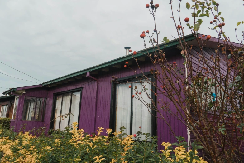 the purple building has a lot of trees and shrubs