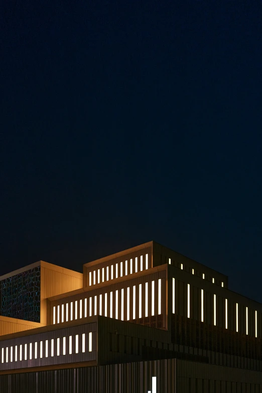 a tall building at night in front of a street light