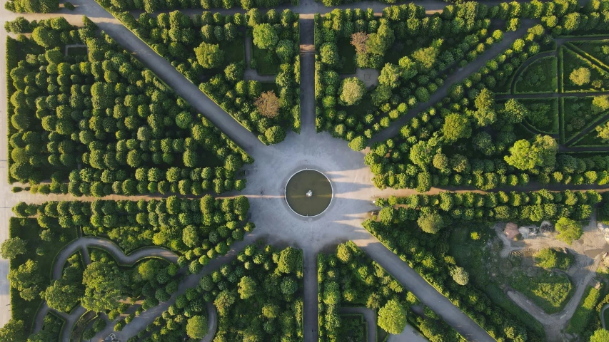 top down view of tree maze with the top level up