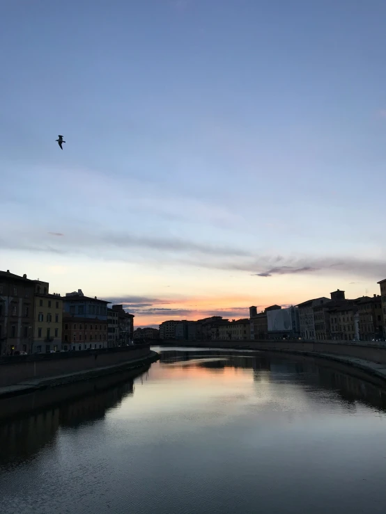 a bird flies over the calm water of a river