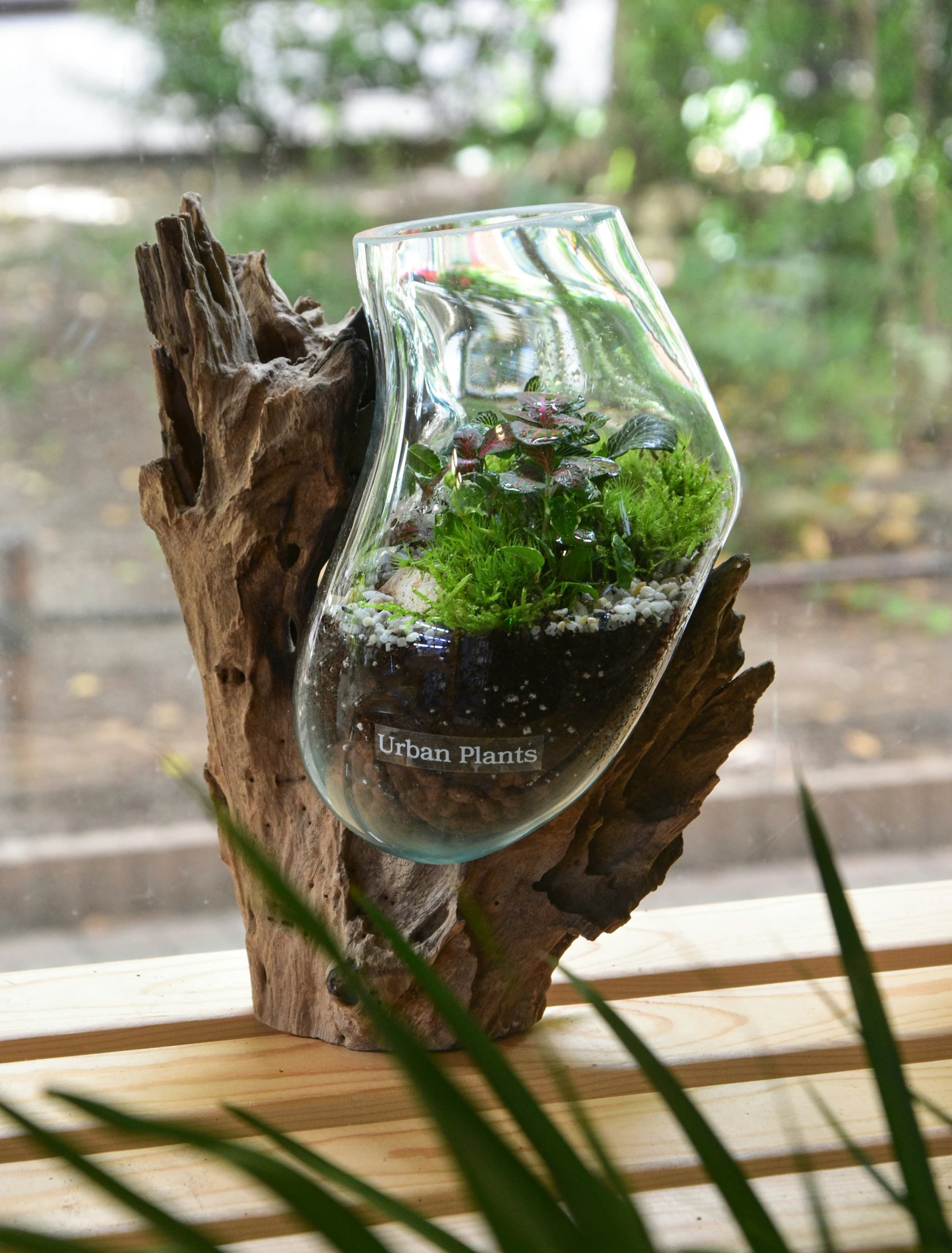 a vase filled with plants in a bowl