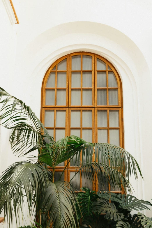 a window, potted plants and a clock sit in front of a white wall