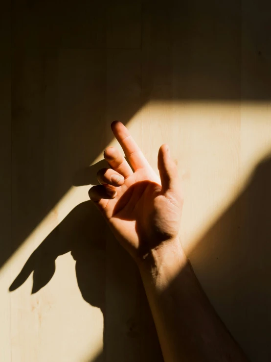 a shadow from the back of a person's hands