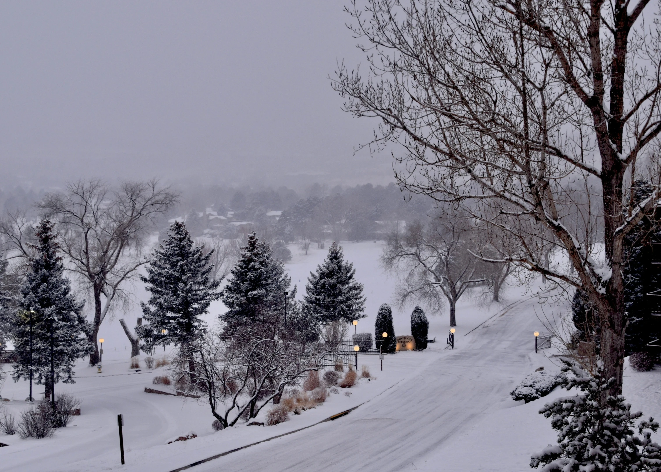 a snow covered street with several lamps on the sidewalk