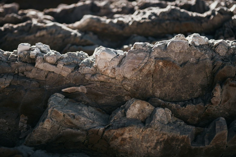 this is a rocky area with a bird perched on top of it