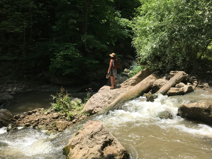 a man stands on a rock in the middle of a creek