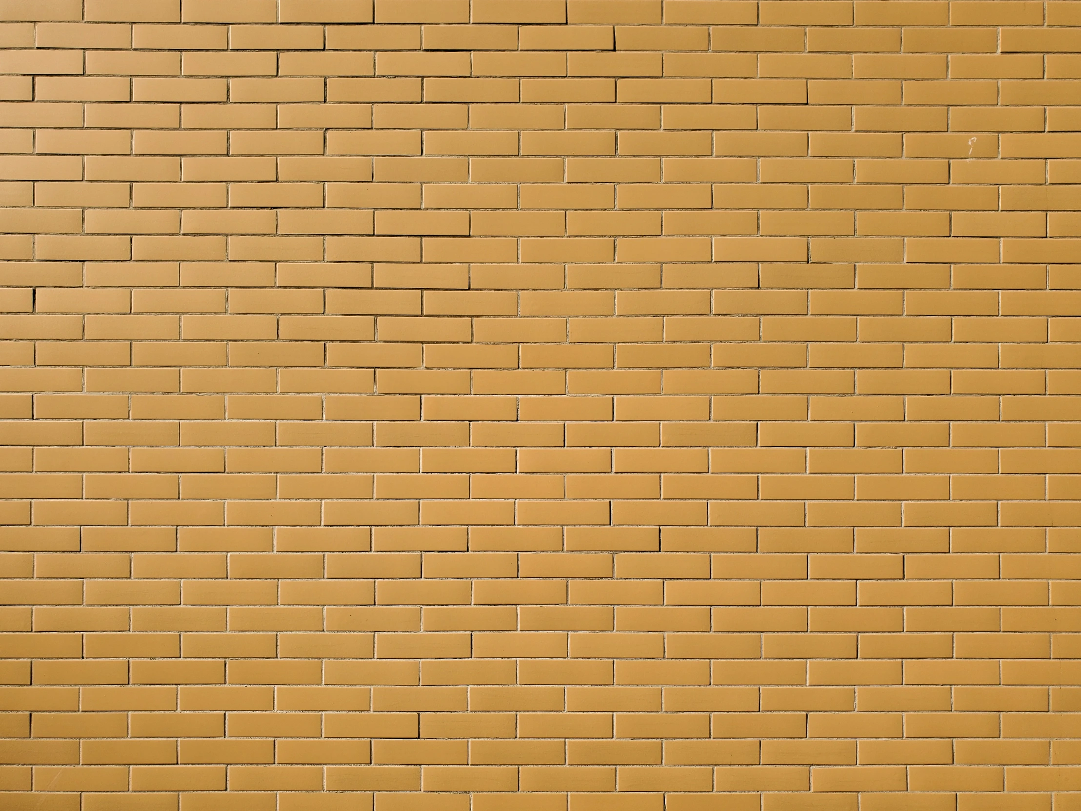 a white cat sitting in front of a brown brick wall