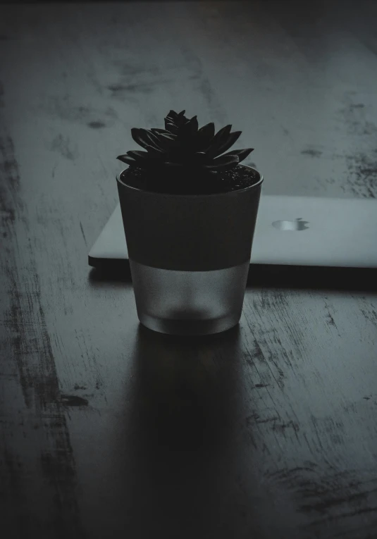 an office paper roll laying on the desk beside a small glass