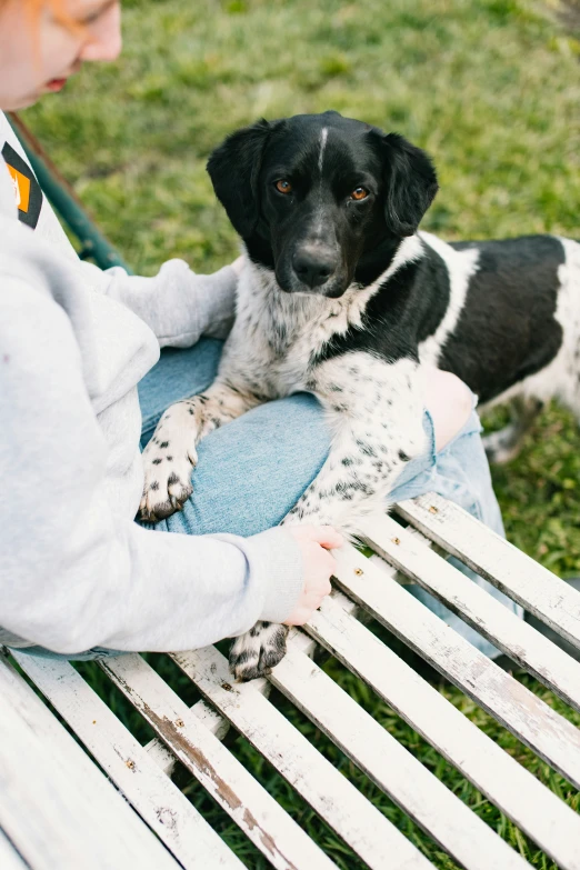 a  pets a dog sitting on top of a bench