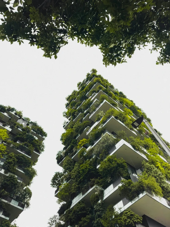 tall buildings filled with plants covered by a lot of tree's