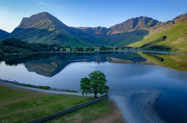 a lone tree standing in a large lake