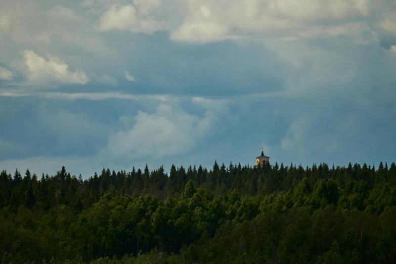 a small lighthouse on top of the hill in the middle of the forest