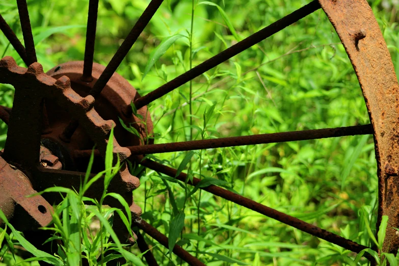 an old, rusted wagon wheel laying in tall grass