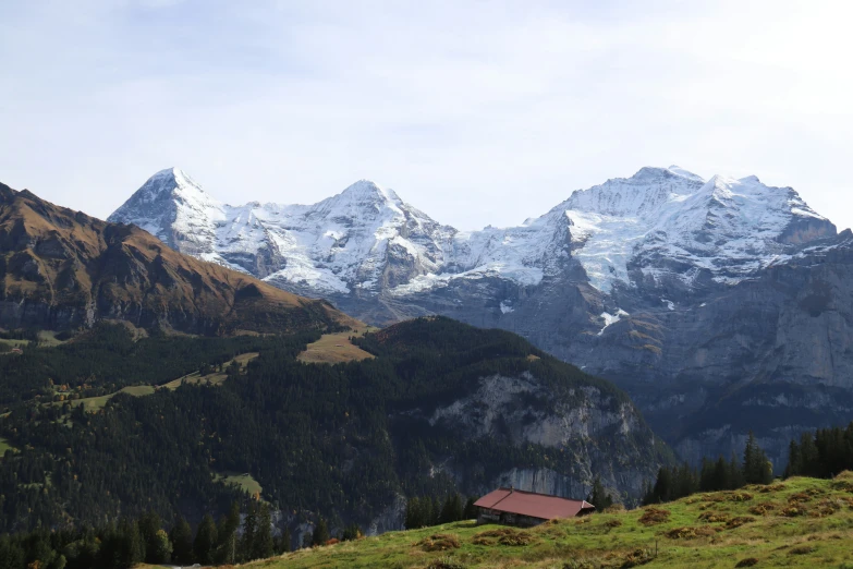 a house in a mountainous area covered with trees