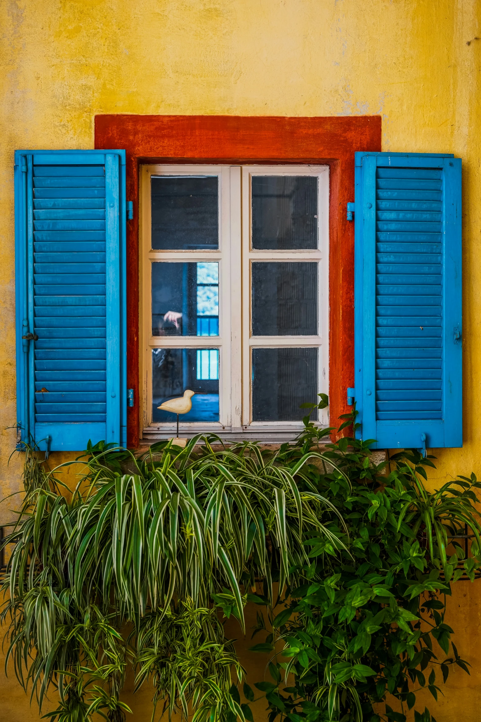 the window in a building is closed with red and blue shutters