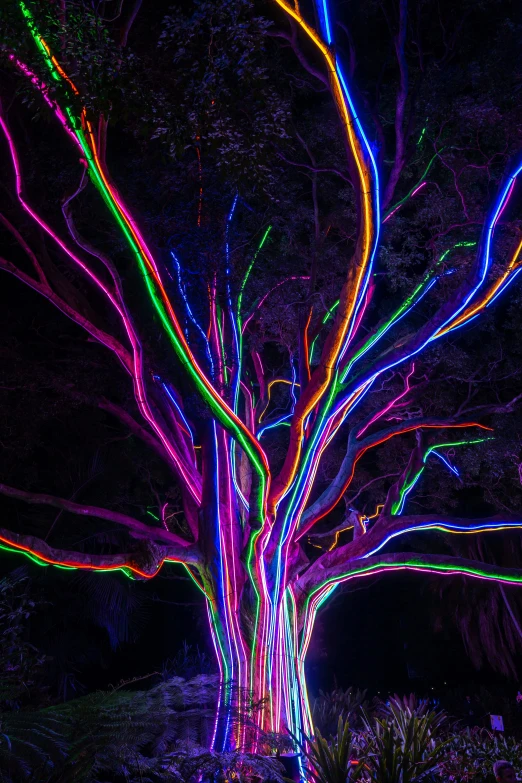 an illuminated trees sits on a hill among green and blue grass