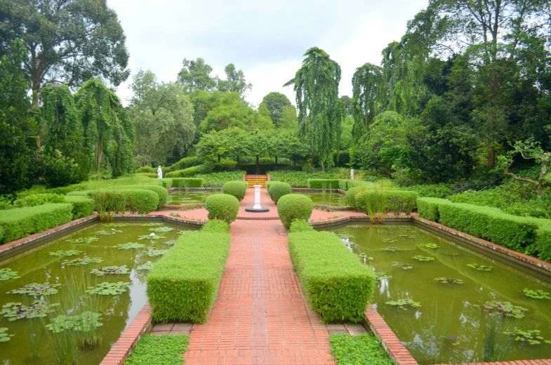 a lush green garden with pond surrounded by trees