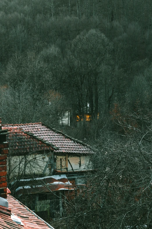 the roof of a house is covered by a snow