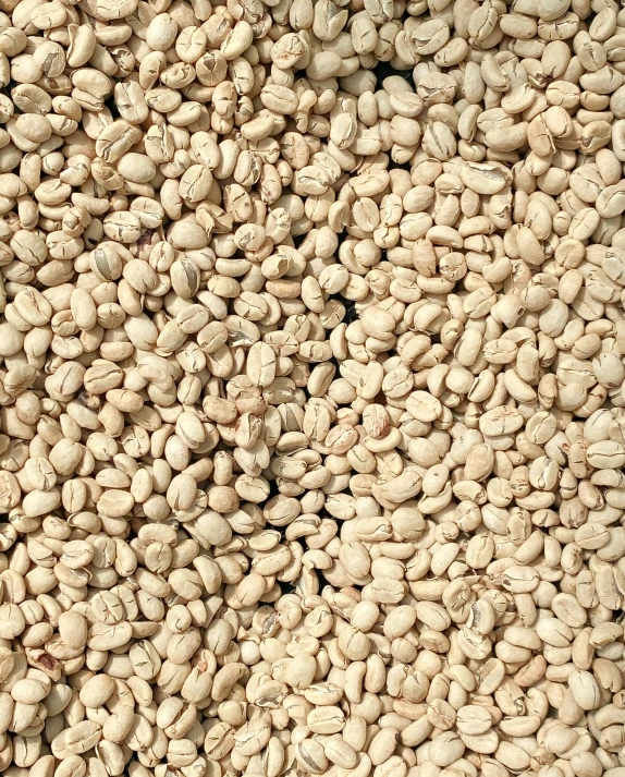 large pile of coffee beans with a small red bird on top