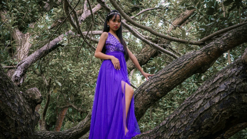 a woman wearing a long purple dress standing on a tree nch
