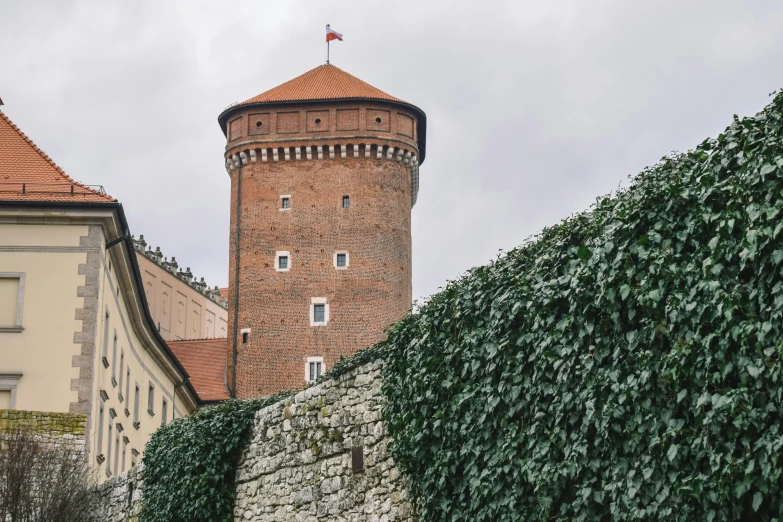 a tower of a building with vines on the roof