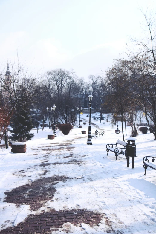 a snowy street with many park benches and plants in the background